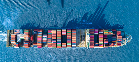 Ship Booking and Customs Declaration Service